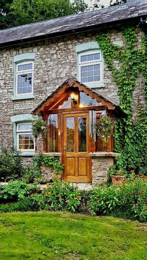 Kingsley Cottage - Beautiful Riverside Setting Beaworthy Dış mekan fotoğraf
