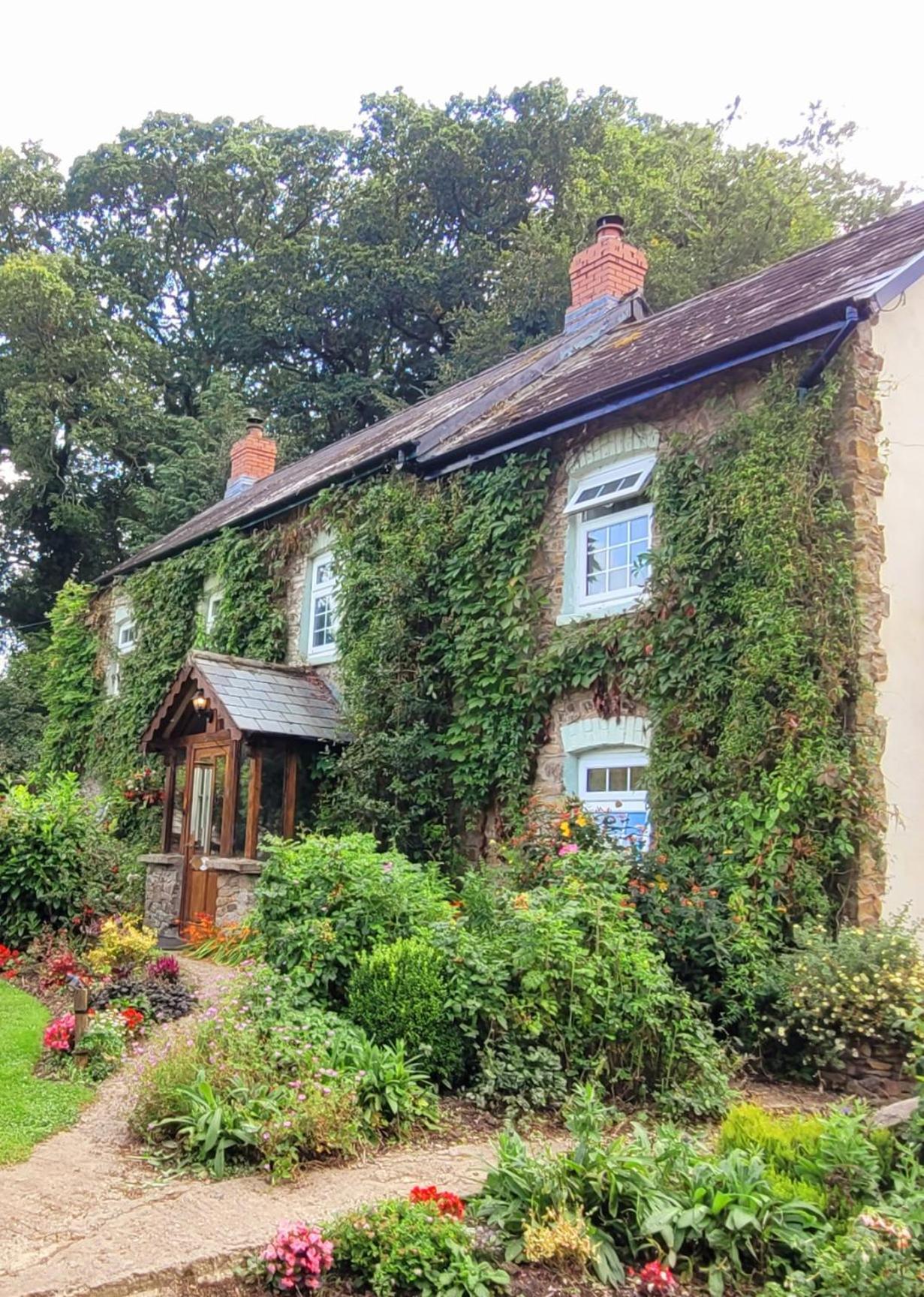 Kingsley Cottage - Beautiful Riverside Setting Beaworthy Dış mekan fotoğraf