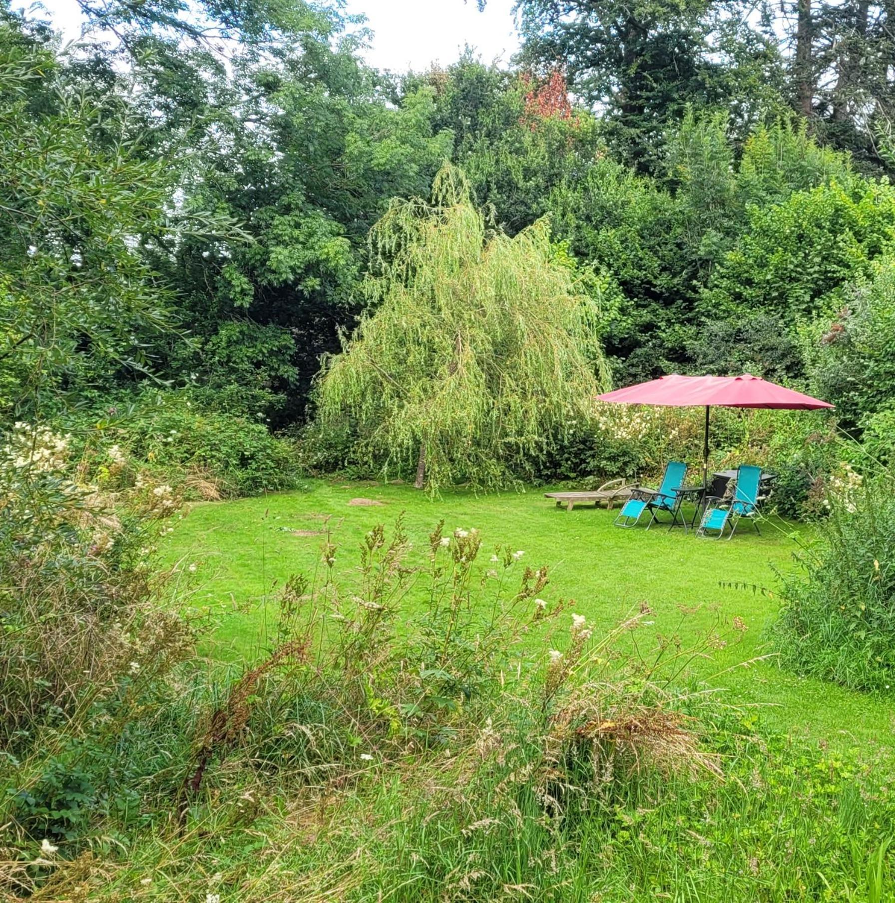 Kingsley Cottage - Beautiful Riverside Setting Beaworthy Dış mekan fotoğraf